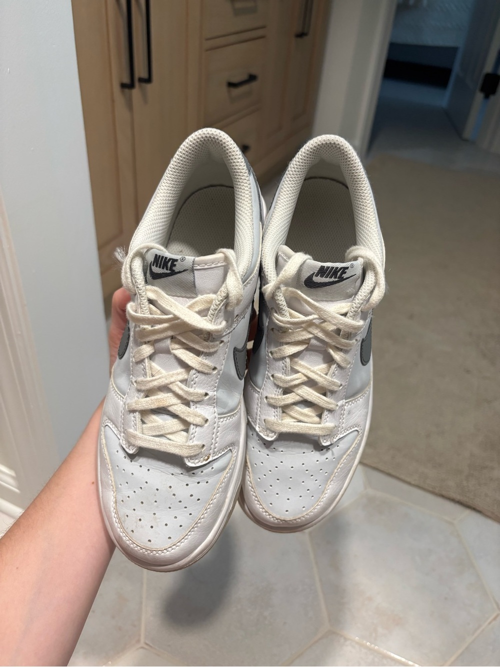 Nike Dunks View 2